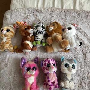 Beanie boo collection.